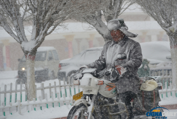 新疆巴里坤遭遇大雪降溫天氣4