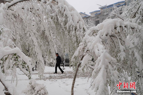 烏魯木齊四月飛雪-瞬間進入冬季模式6