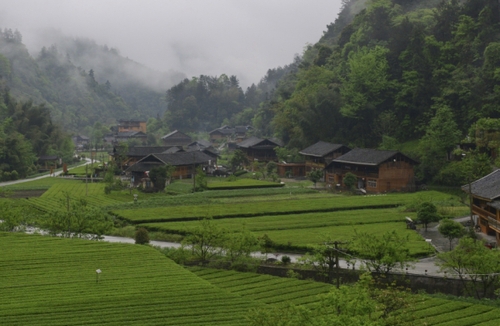 　麻柳溪村晨景