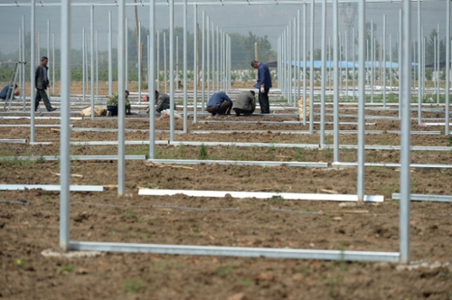 5月13日，河北花香畦生態農業科技有限公司的施工人員在搭建二期有機蔬菜雙膜溫室大棚。