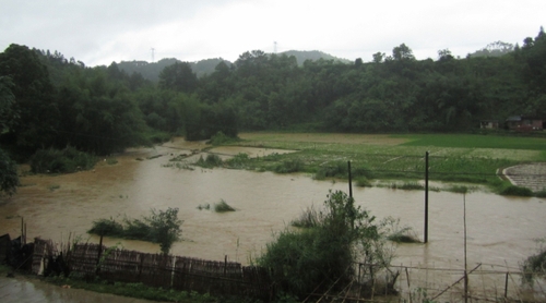 5月18日，在廣西昭平縣馬江鎮新興村，河水上漲淹沒部分農田。