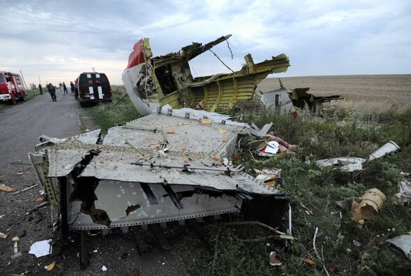 直擊馬航MH17客機墜毀現場6