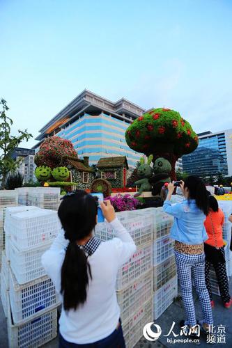 位于長安街沿線的“和諧家園”立體花壇尚未布置完畢，市民游客已在觀賞留影。