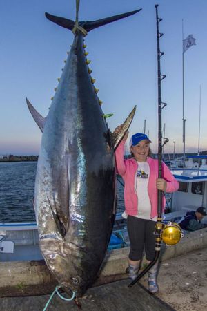 加拿大12歲女孩釣起280公斤巨型藍鰭金槍魚