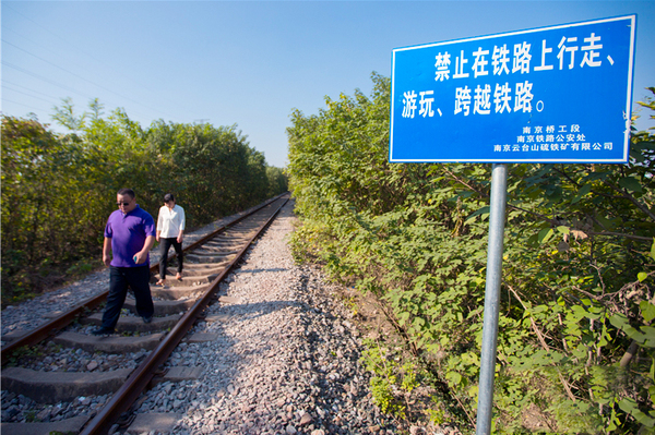 南京“愛情隧道”年底將砍光-網友：刀下留樹2