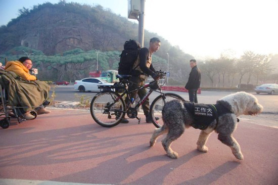 廣西小伙用工作犬拉輪椅攜患病女友游全國(guó)6