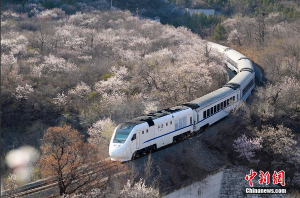 和諧號(hào)列車穿越居庸關(guān)花海 被贊開往春天的列車5