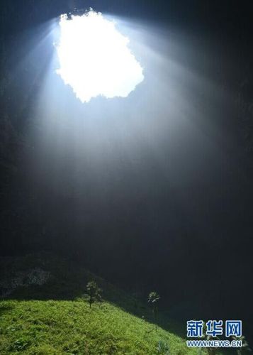 　5月19日，鑼圈巖天坑里的植物沐浴陽光