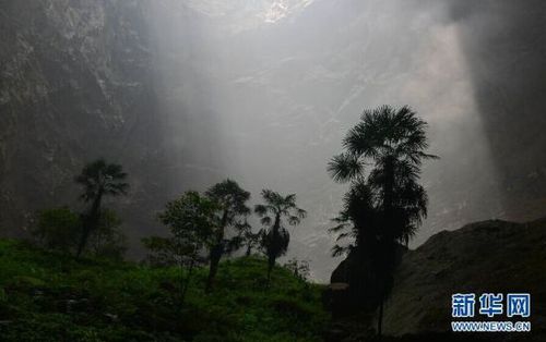 　5月19日，陽(yáng)光照進(jìn)鑼圈巖天坑。