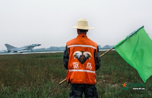 不是所有空軍都駕駛戰機飛翔在天空，比如地上的驅鳥兵，他們默默無聞保護戰機起飛不受飛鳥影響。張鵬炎 攝