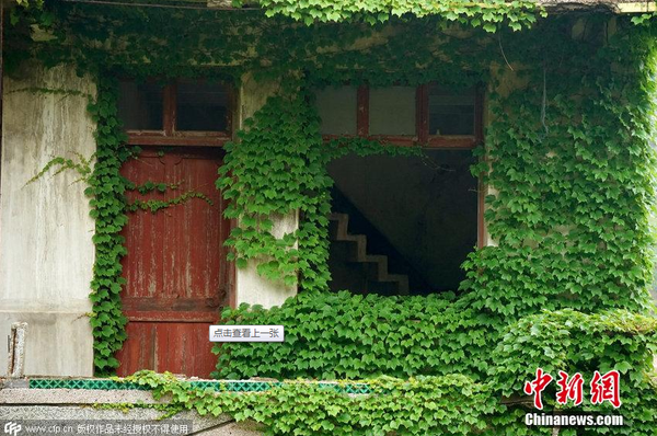 2015年5月31日，浙江舟山一個無人居住的荒村，村落荒蕪，許多無人居住的房屋逐漸被大自然侵蝕，布滿爬墻虎，宛如綠色童話世界。圖片來源：CFP視覺中國1