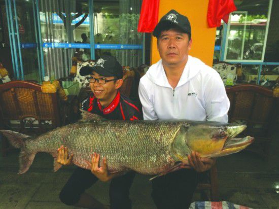 成都父子釣起近百斤大魚激戰三個半小時2