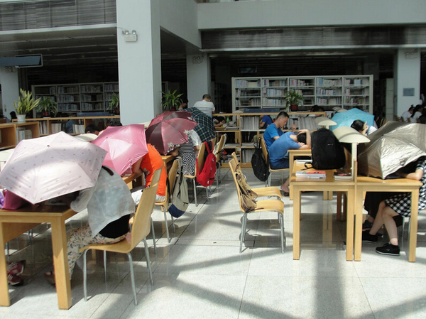 圖書館內撐傘讀書的民眾。