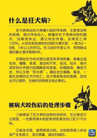 北京已報(bào)告7例狂犬病患者6人死亡