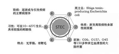 點(diǎn)擊進(jìn)入下一頁(yè)