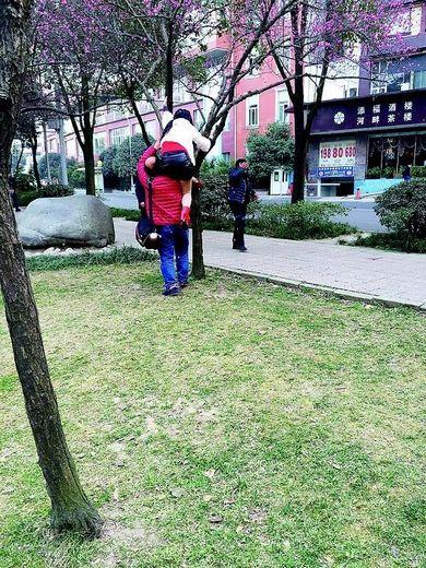 成都中年婦女錦江河邊賞花攀上樹枝留影（圖）