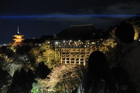 日本京都市的清水寺在春季夜間特別參觀正式開始之前進(jìn)行試亮燈，剛剛開放的櫻花與“清水舞臺”一同浮現(xiàn)在春天的夜色之中。