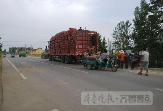 在商河縣白橋鎮(zhèn)亓家官莊村，不少大車停在村頭收大蒜。