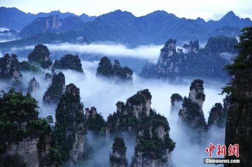 飄渺無形的云海穿梭在連綿峰林間，奇美無比。1