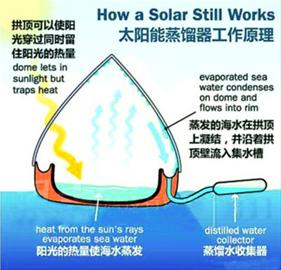 假如被困海上 該選擇喝尿還是喝海水？