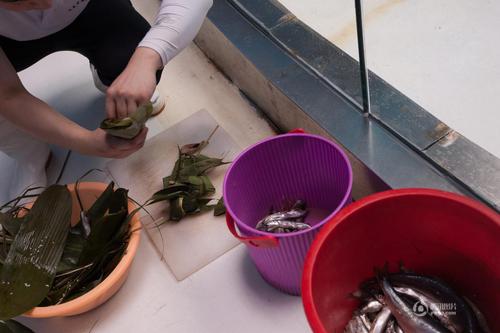 飼養(yǎng)員滿玉忠為了讓海獅過一個快樂的“端午節(jié)”，用許多魚肉做成肉餡，包在粽子葉里。