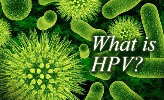 付虹：HPV感染會(huì)導(dǎo)致不孕需斥巨資治療？