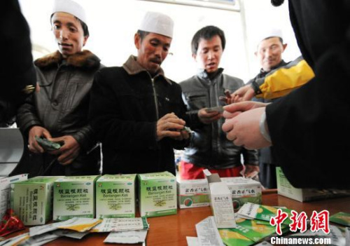 資料圖。楊艷敏 攝