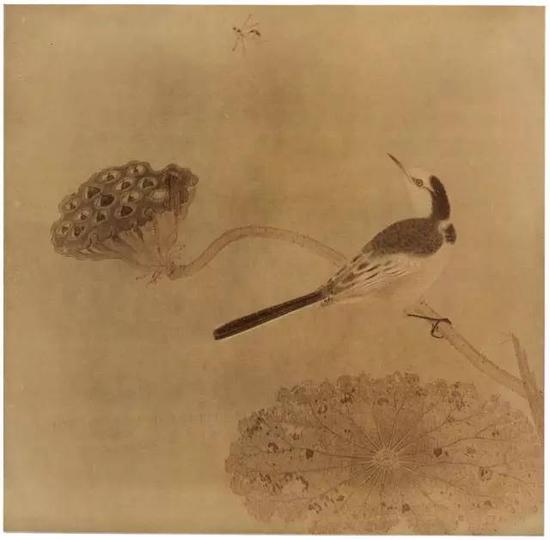 《疏荷沙鳥圖頁》 宋，絹本設(shè)色，縱25cm，橫25.6cm