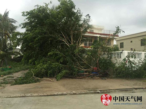 臺(tái)風(fēng)“銀河”襲海南海陸交通受阻 風(fēng)雨明天結(jié)束