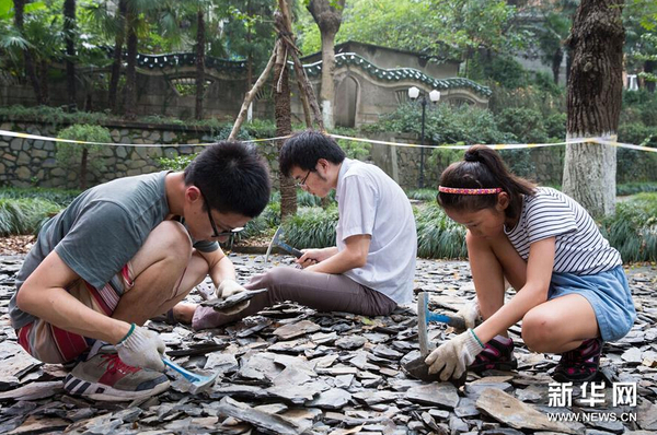 8月21日，市民在南京古生物博物館參加“砸化石”活動。1