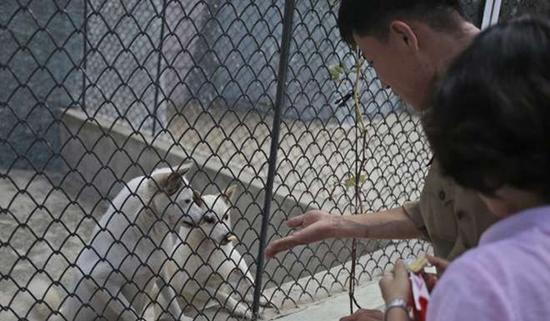 朝鮮平壤動物園里啥模樣？“狗屋”是最熱門景點