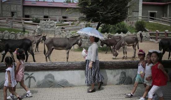 朝鮮平壤動物園里啥模樣？“狗屋”是最熱門景點