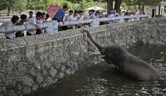 朝鮮平壤動物園里啥模樣？“狗屋”是最熱門景點