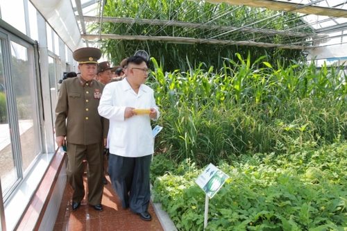 朝中社9月13日提供的照片顯示，朝鮮最高領導人金正恩（前右）日前視察朝鮮人民軍第810部隊所屬1116號農場。