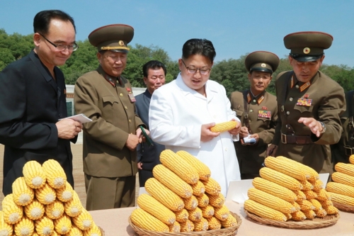 金正恩察看農作物試點栽培田和溫室等，具體了解了育種情況。金正恩對農場新培育出的適合朝鮮氣候土壤條件、產量高的玉米品種表示滿意。金正恩就農場的今后工作作出指示，并為新品種玉米命名“平玉9”號。