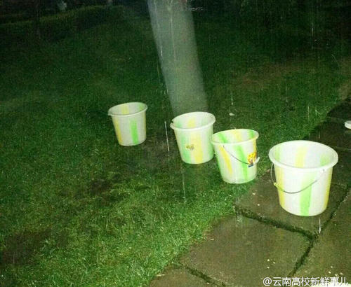 圖為學生拿桶接雨水。