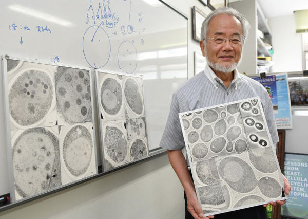 　日本科學家大隅良典獲2016年諾貝爾生理學或醫學獎。圖為2016年7月他在日本橫濱拍攝的照片。