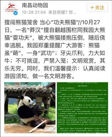 南昌動物園補充道，該男子逃離后未向園方反映情況，動物園檢查之后確認美靈沒有受傷或受到驚嚇。