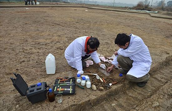 廣漢三星堆遺址發掘現場，考古人員對文物出土部分進行清洗加固處理。