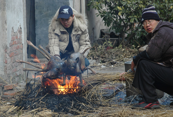 男子當(dāng)街生火烤狗2