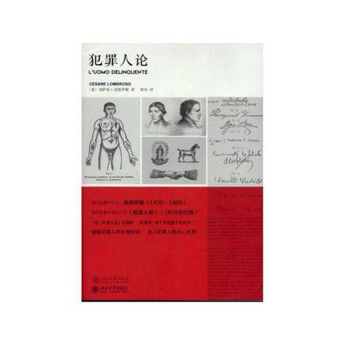 上海交大教授訓練機器看臉分辨罪犯:準確率86%以上