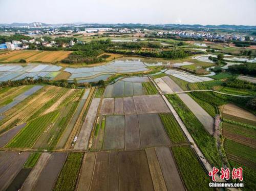 圖為航拍廣西柳州市柳北區沙塘鎮耕地，五彩繽紛。 黃威銘 攝