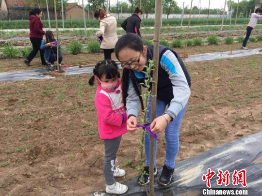 熊家廟辦事處女干部張海艷在春季農業生產時帶著孩子幫助農民為新栽樹苗定枝。　侯志雄 攝