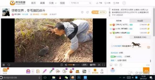 萬人圍觀捕殺野生動物 多家直播平臺現打野直播