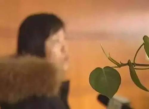 無奈之下文女士將情況反映到建鄴區市場監督管理局，一線隊員當天下午便來這家名世造型美容店進行檢查并了解情況。