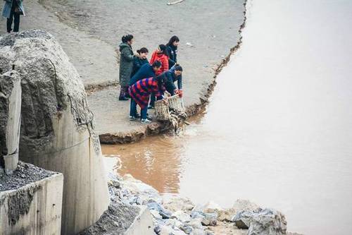 圖為十多名市民從市場上買來鯉魚在放生。