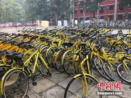 資料圖。北京某所高校內的共享單車數量驚人。<a target='_blank' href='http://www.chinanews.com/' >中新網</a> 吳濤 攝