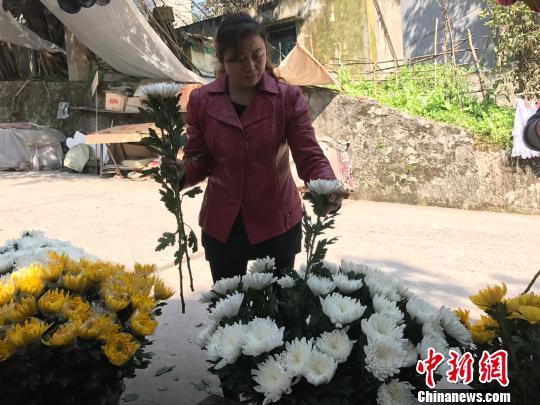 圖為市民挑選鮮花為祭掃做準備。　鐘旖 攝