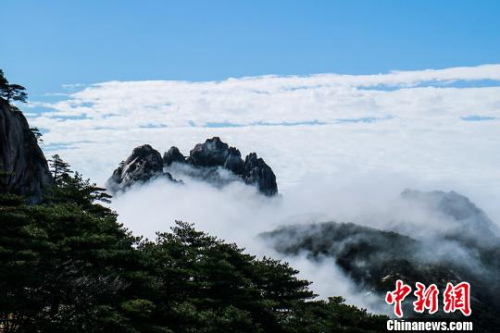  9日，安徽黃山風(fēng)景區(qū)經(jīng)過(guò)昨夜雷雨天氣的洗禮，云海、佛光等壯麗風(fēng)景展現(xiàn)在游客們的眼前。　李金剛 攝