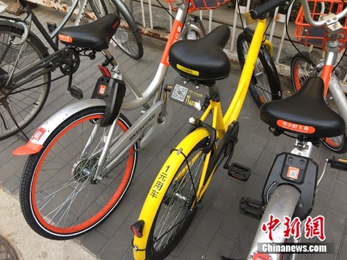 資料圖。某輛共享單車號碼被損。<a target='_blank' href='http://www.chinanews.com/' >中新網</a> 吳濤 攝